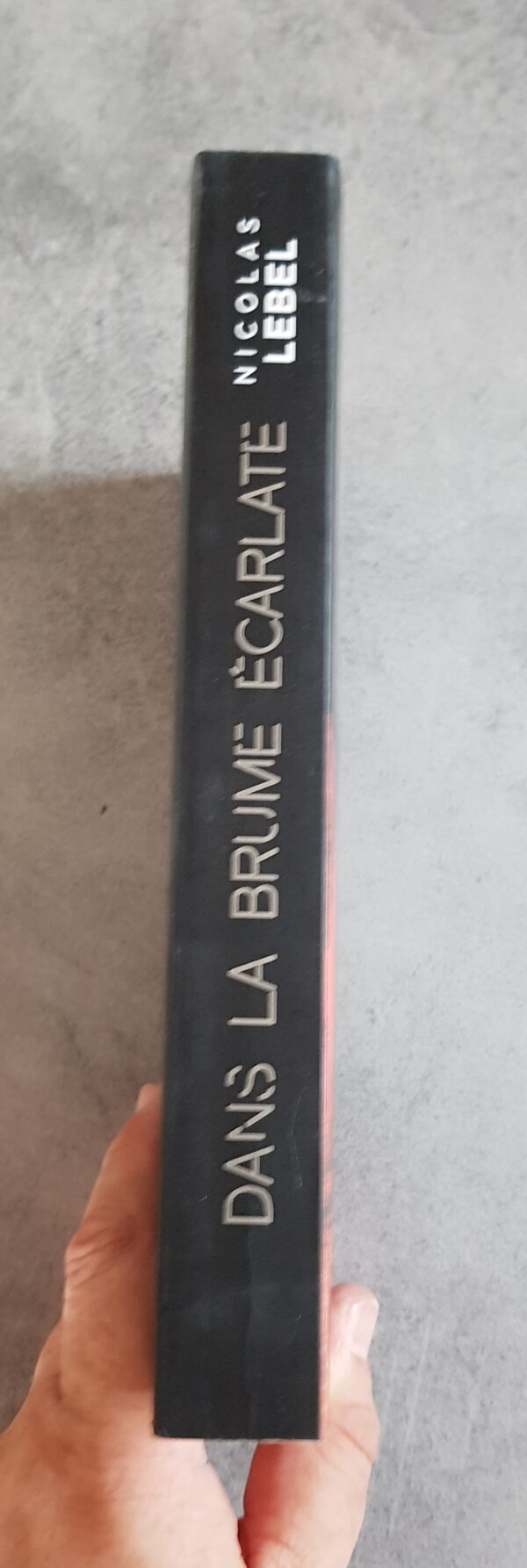 Brume écarlate – Image 3