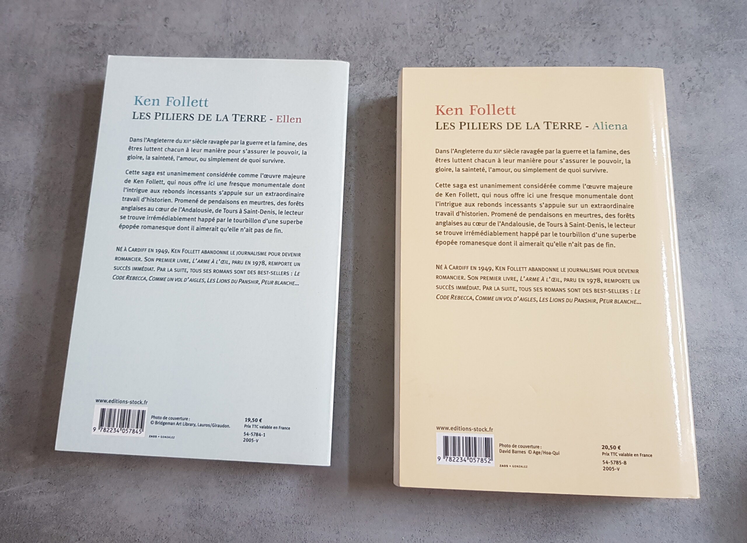 Les Piliers de la Terre – Image 2