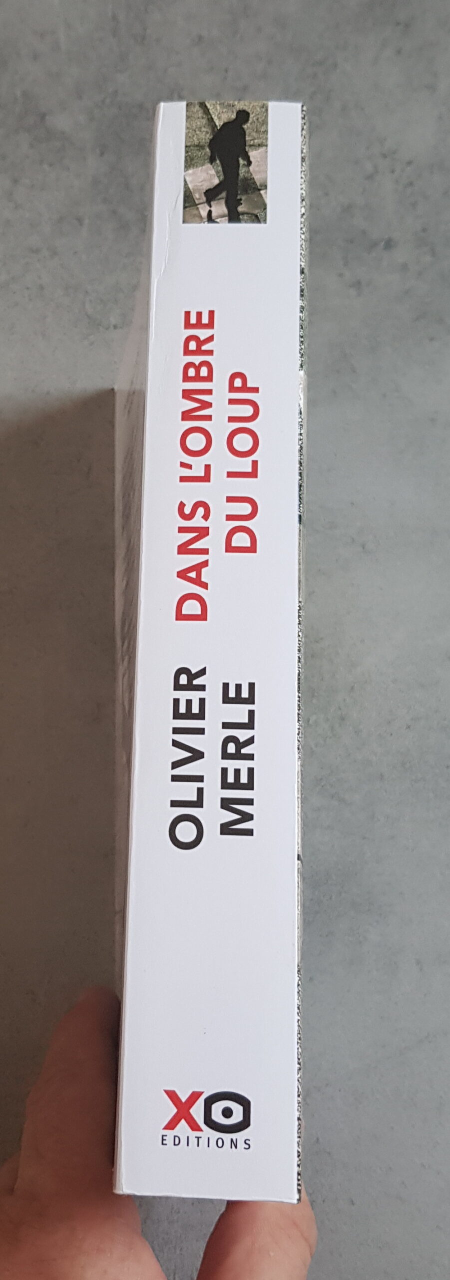 Dans l'ombre du loup – Image 3