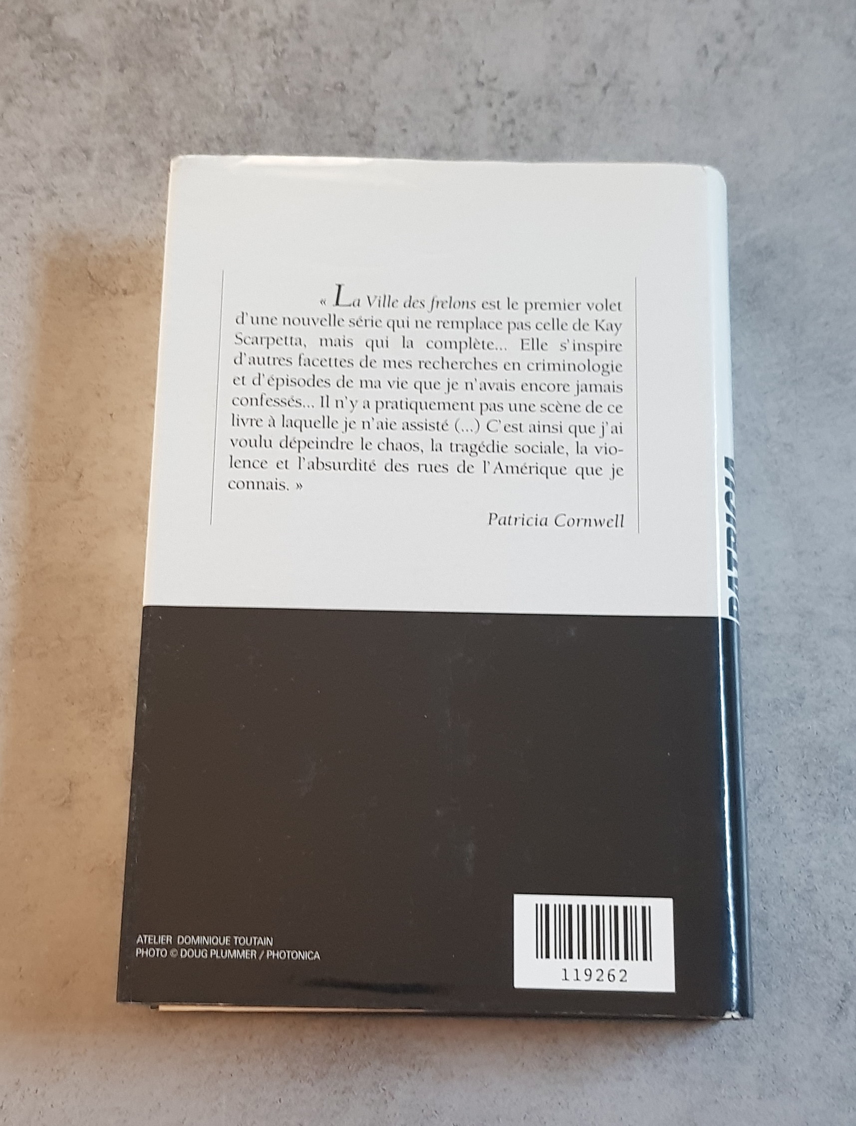 La Ville des Frelons – Image 2