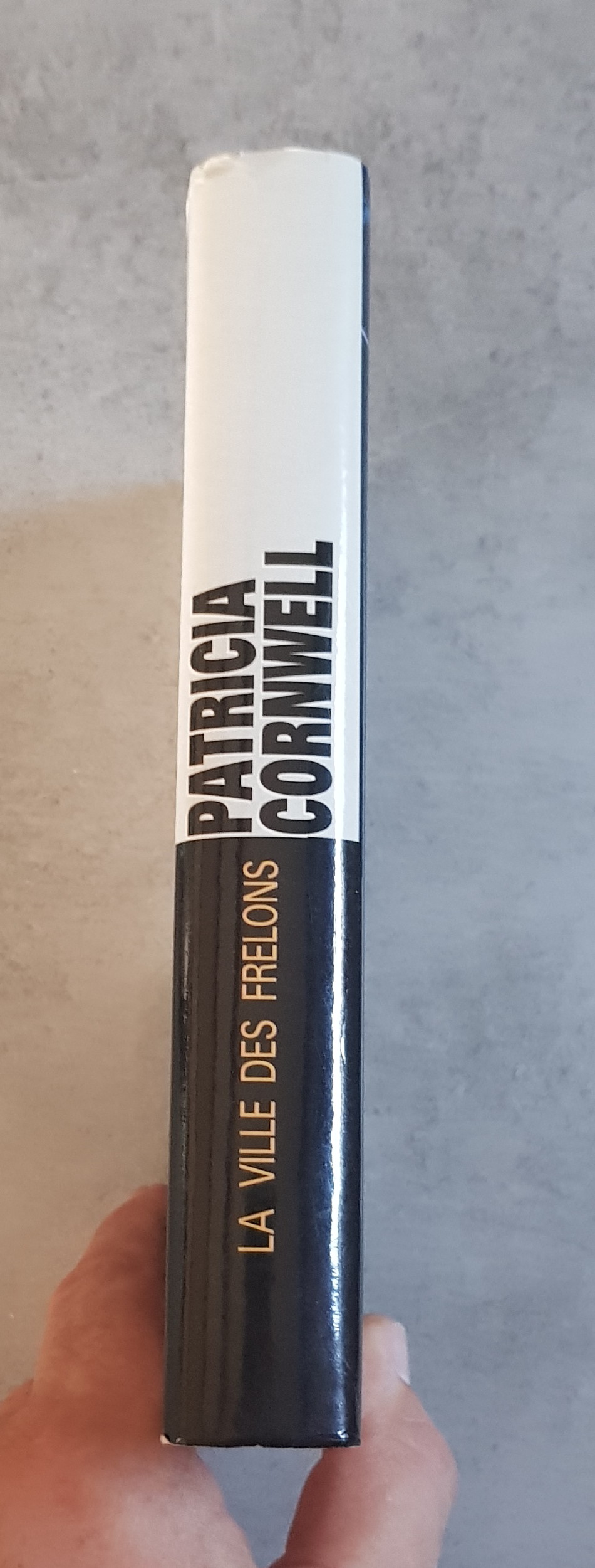 La Ville des Frelons – Image 3