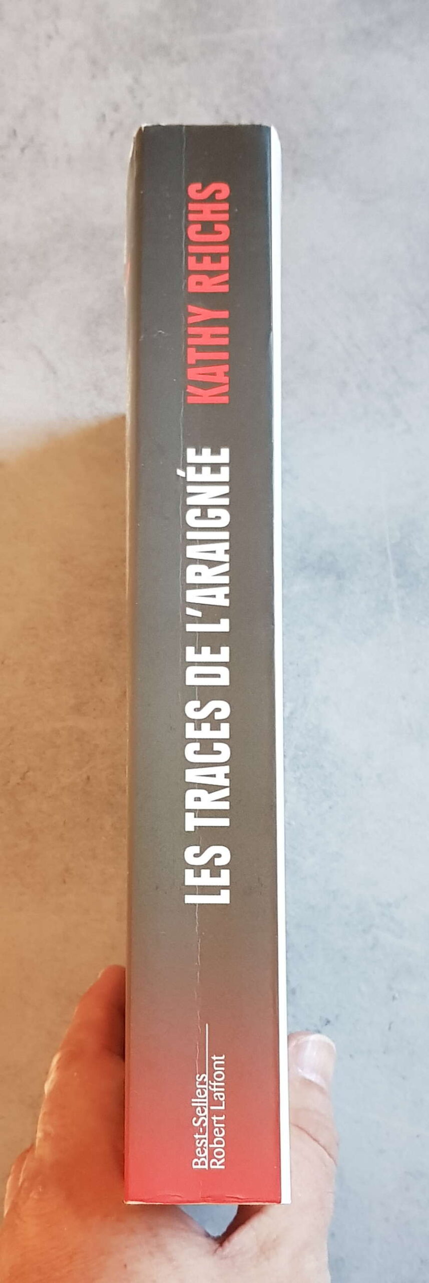 Les traces de l'Araignée – Image 3