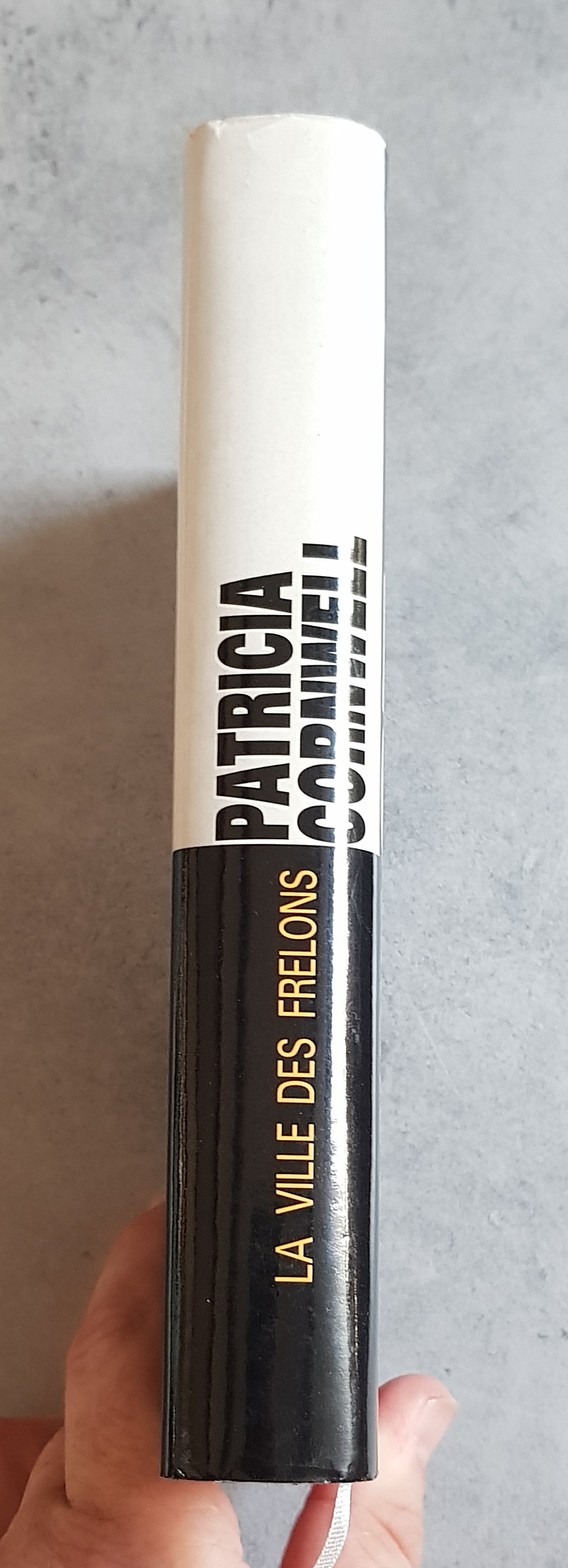 La ville des Frelons – Image 3