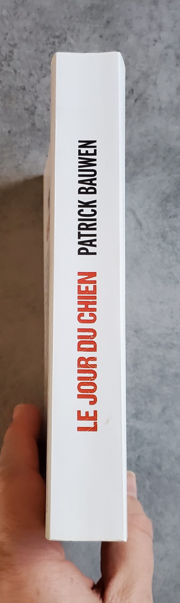 Le jour du chien – Image 3