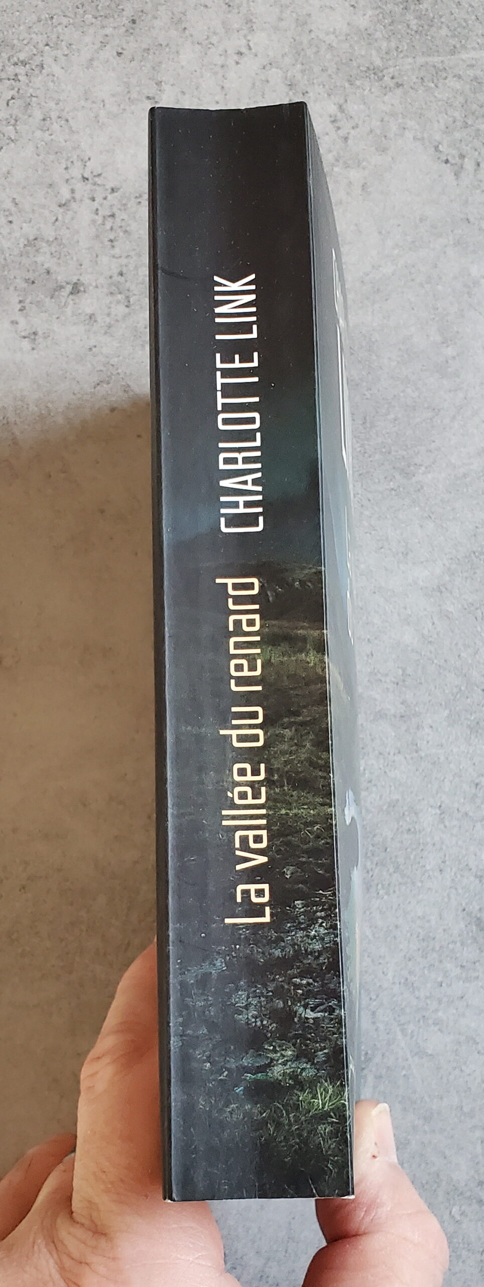 La vallée du renard – Image 3