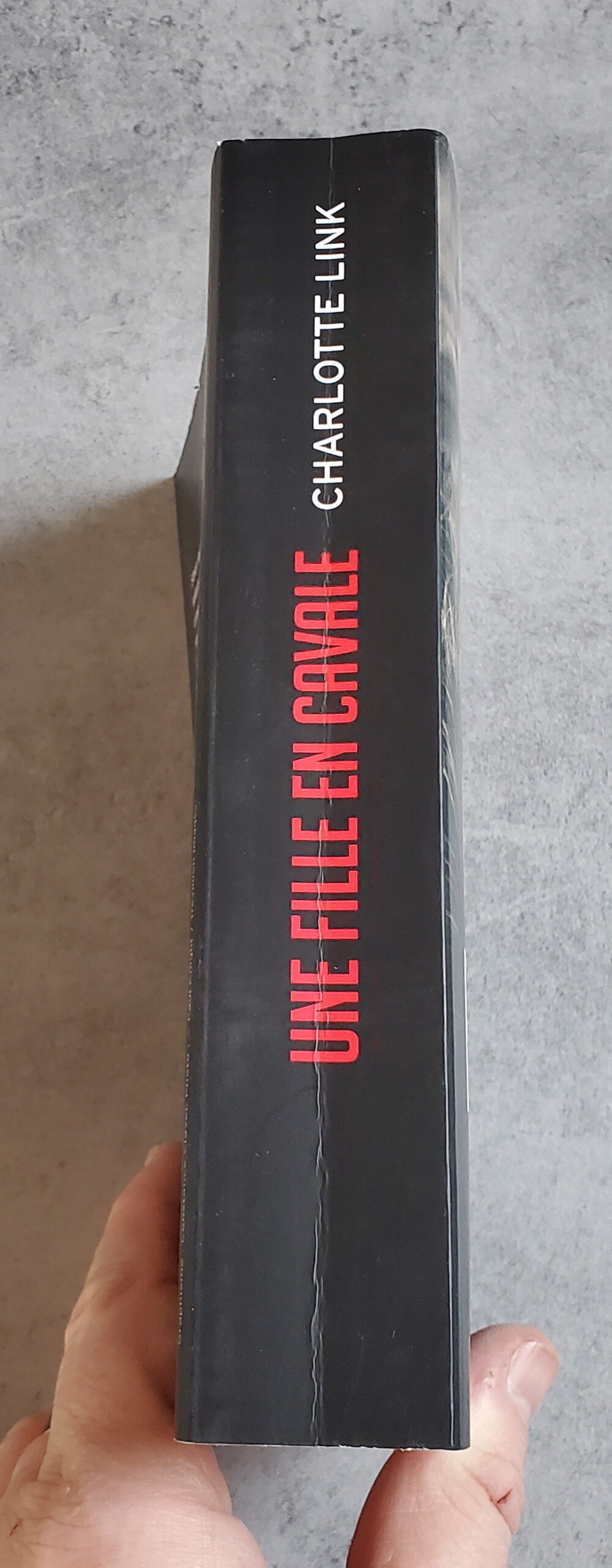 Une fille en cavale – Image 3