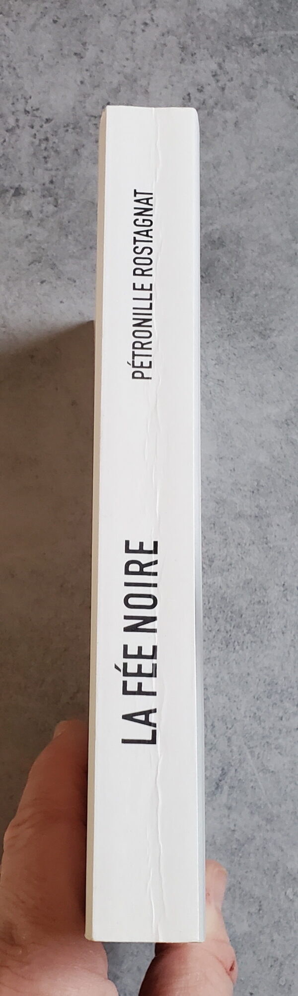 La fée noire – Image 3
