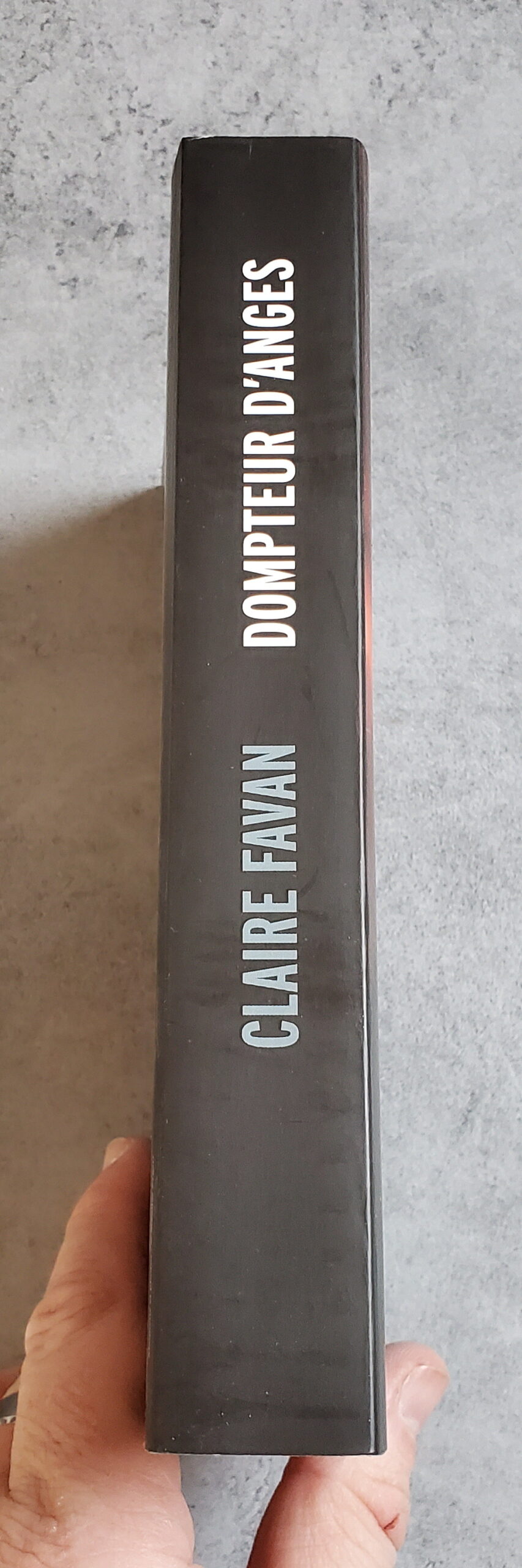 Dompteur d'Anges – Image 3