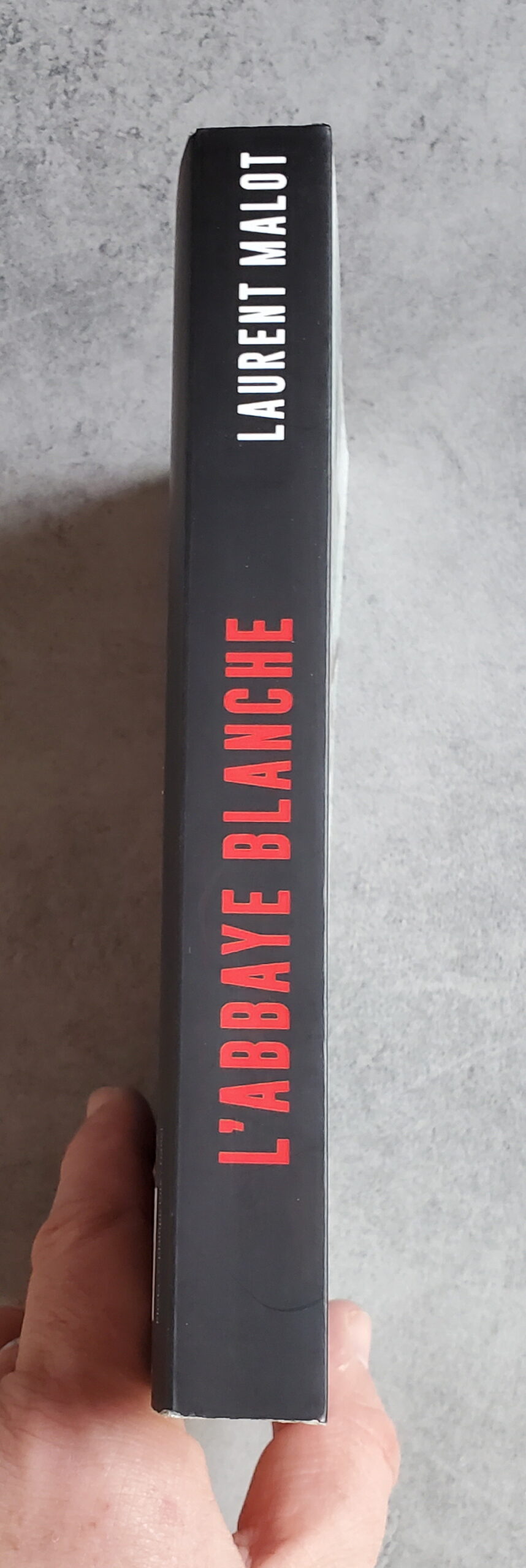 L'abbaye blanche – Image 3