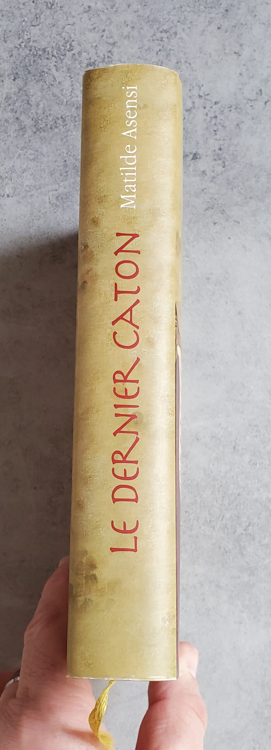 Le dernier caton – Image 3