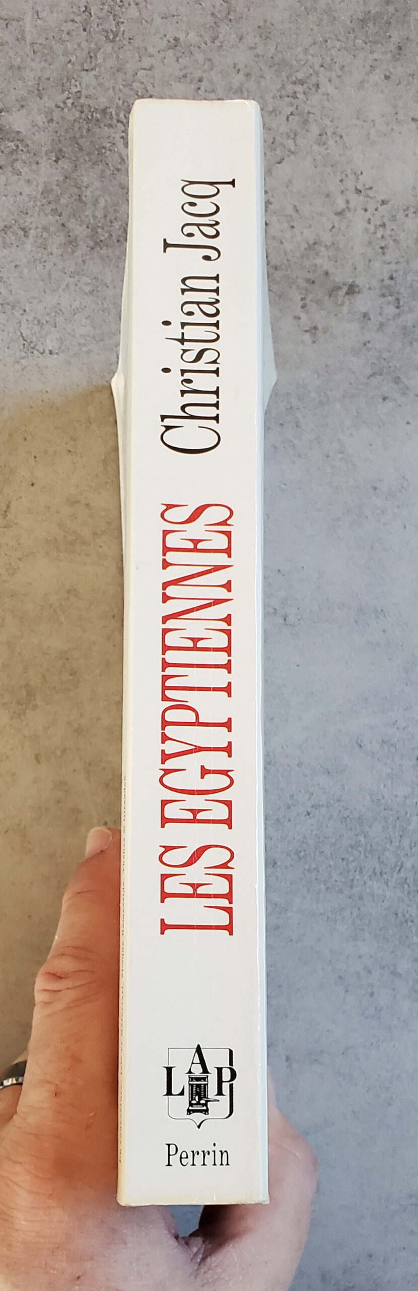 Les égyptiennes – Image 3