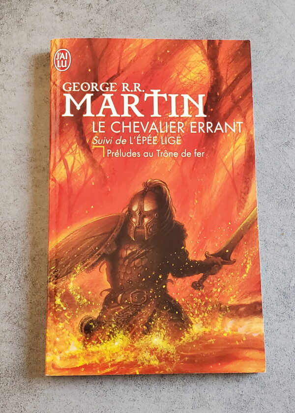 Le Chevalier errant l'épée Lige