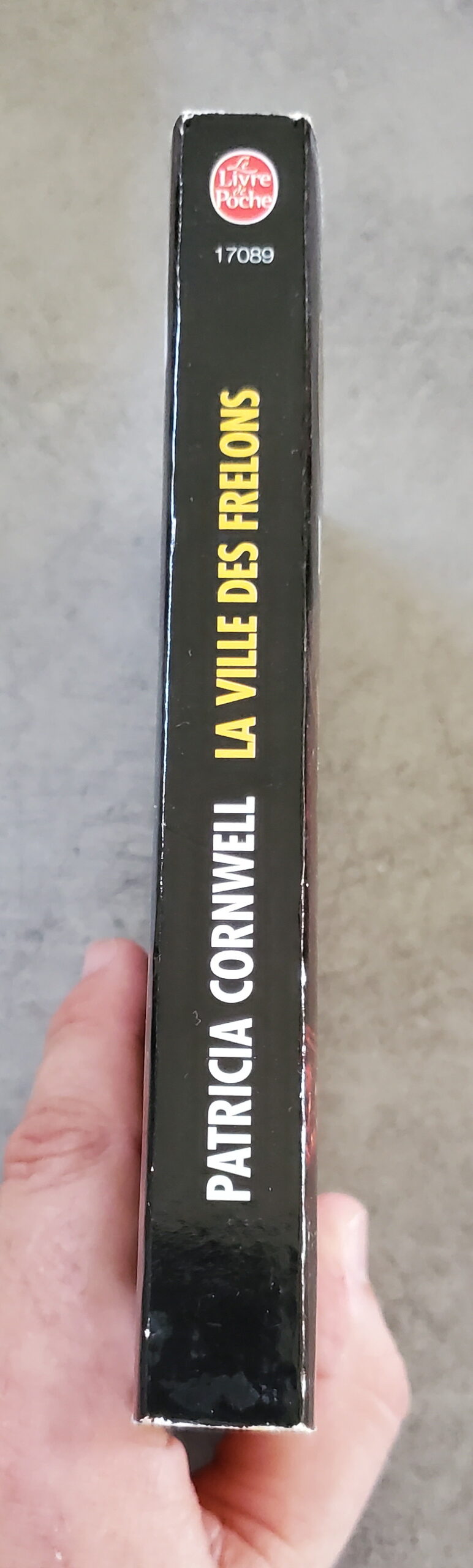 La ville des Frelons – Image 3