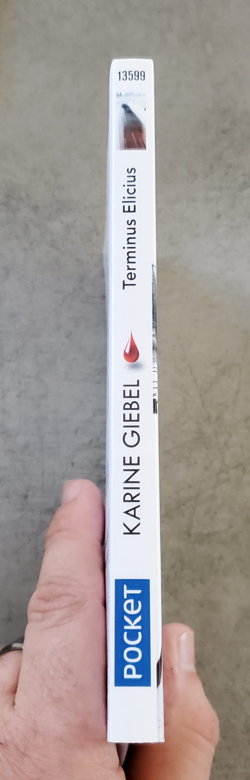 Terminus Elicius – Image 3