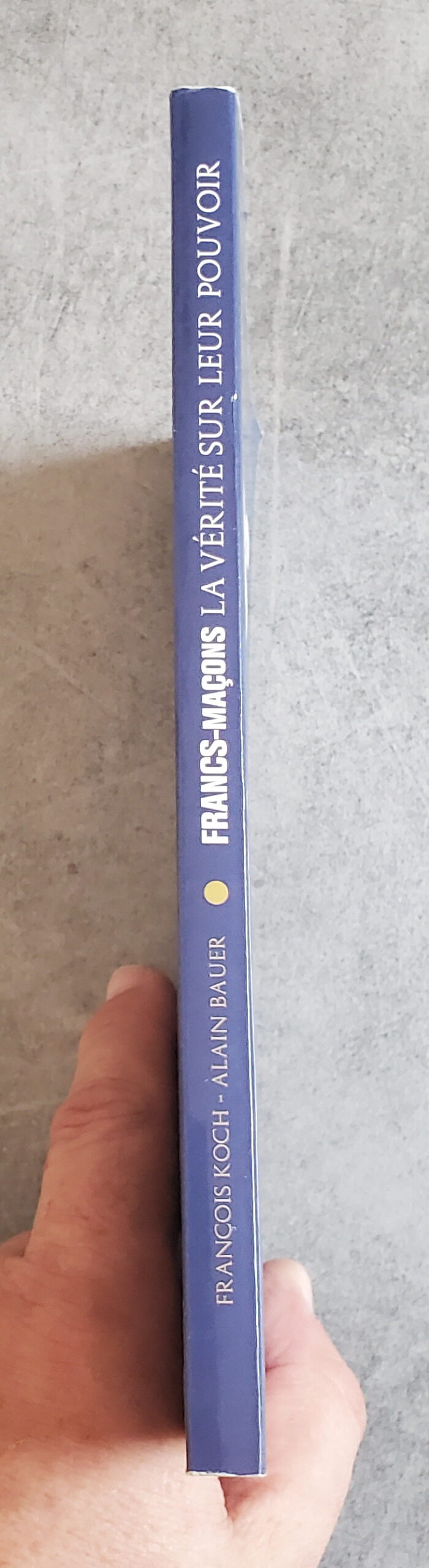 Francs-Maçons la vérité sur leur pouvoir – Image 3