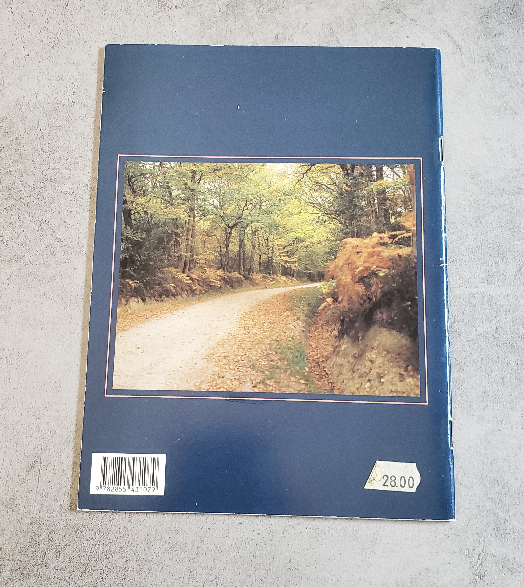 Brocéliande la Forêt enchantée – Image 2