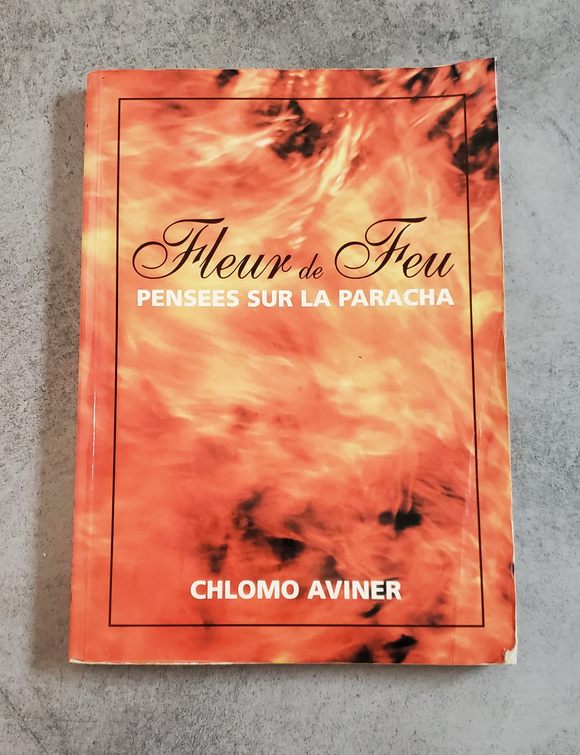 Fleur de Feu pensées sur la paracha