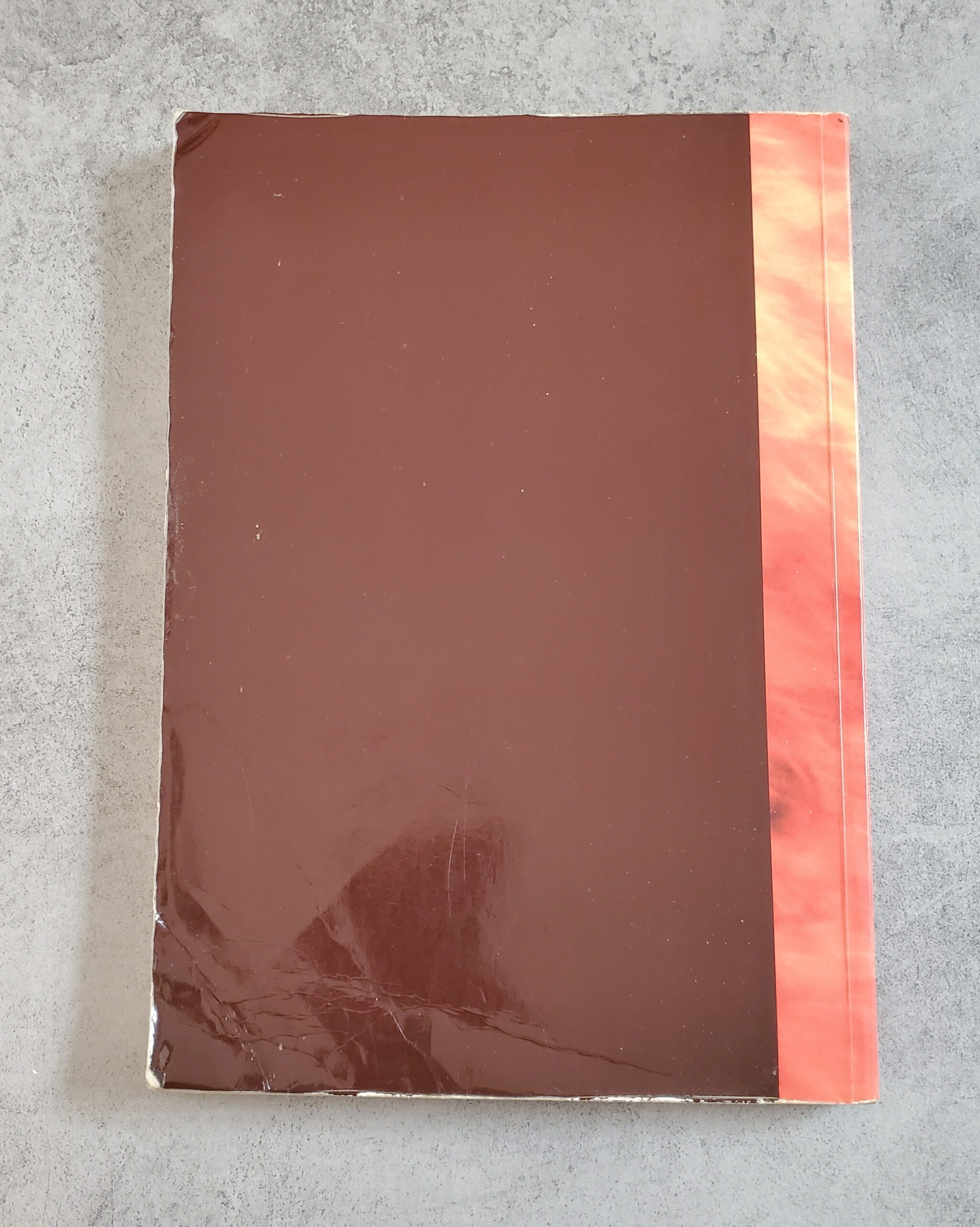 Fleur de Feu pensées sur la paracha – Image 2