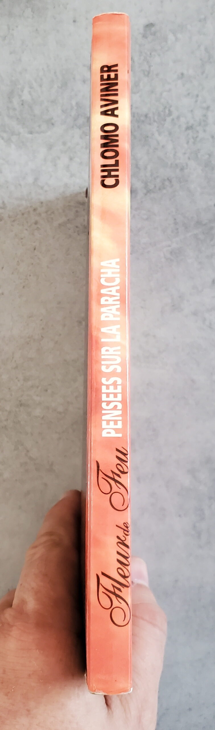 Fleur de Feu pensées sur la paracha – Image 3