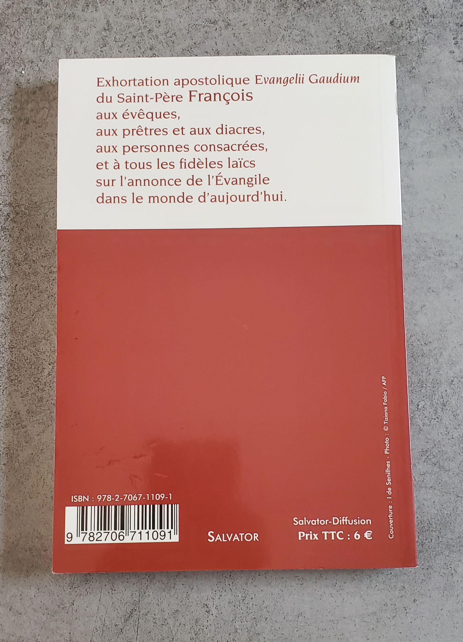 La joie de l'Évangile – Image 2