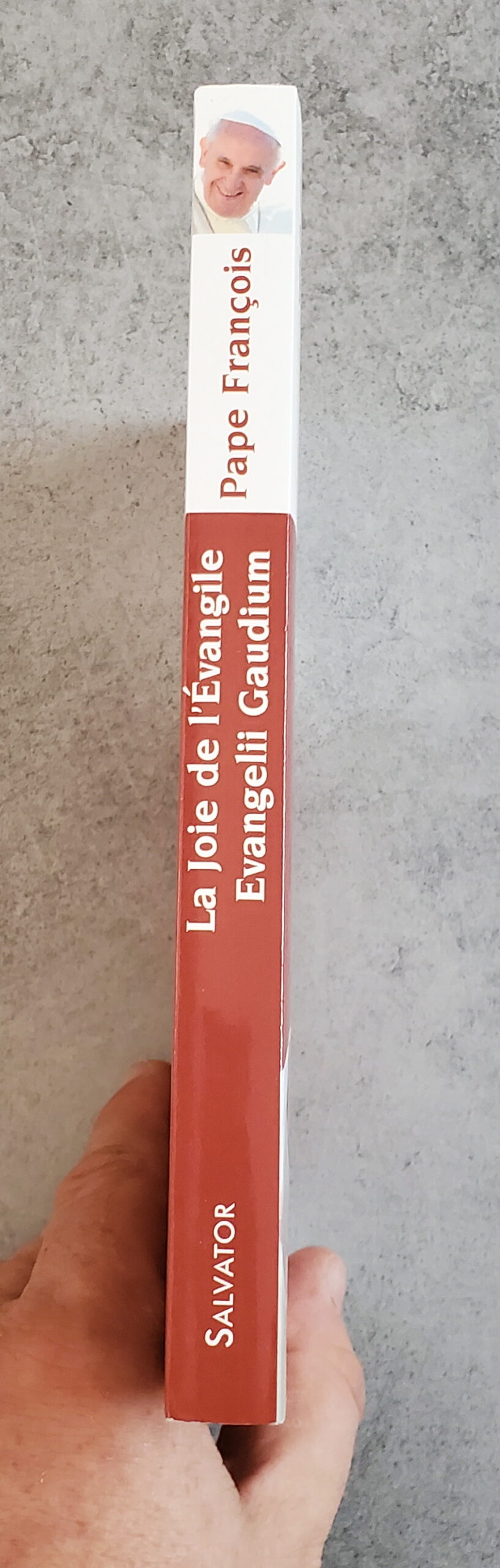 La joie de l'Évangile – Image 3