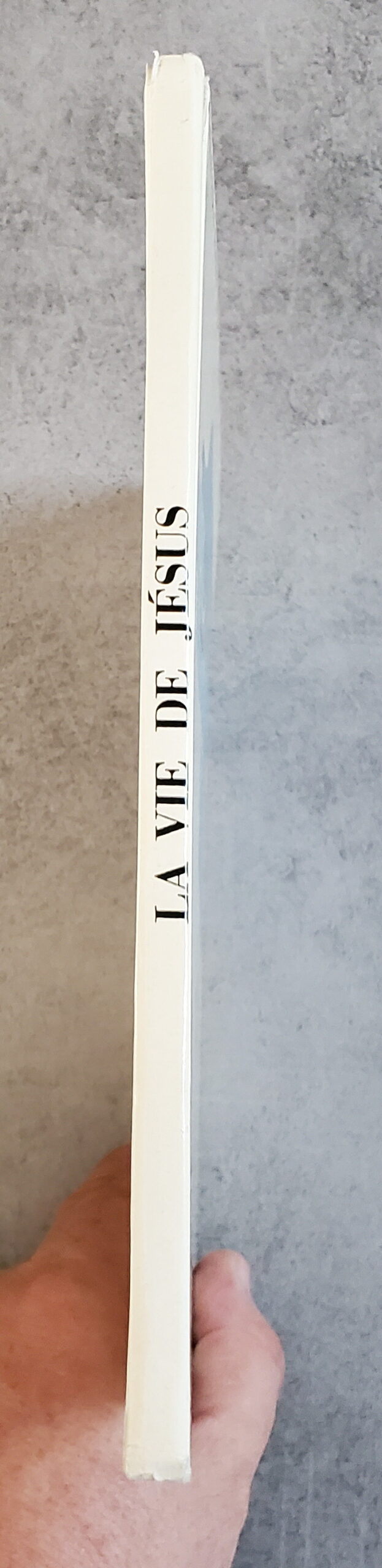 La vie de Jésus – Image 3