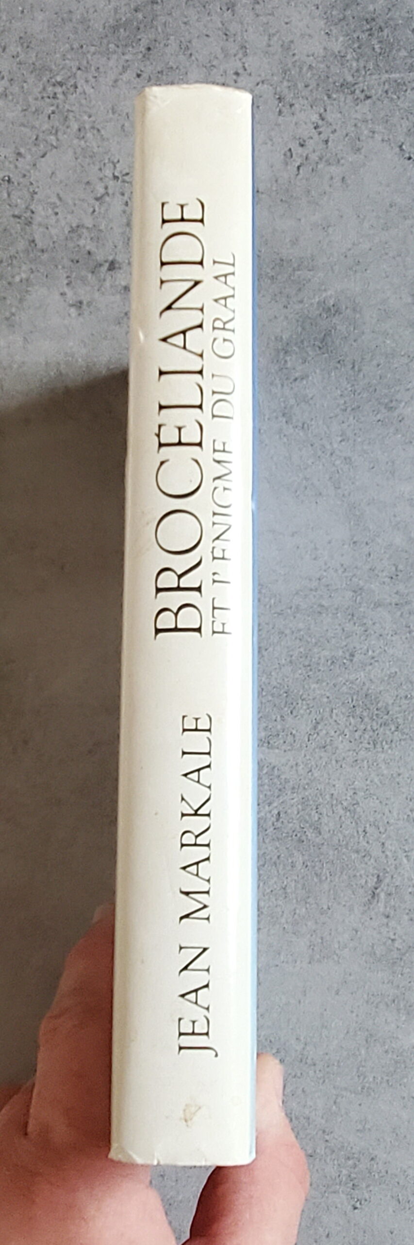 Brocéliande et l'Énigme du Graal – Image 3