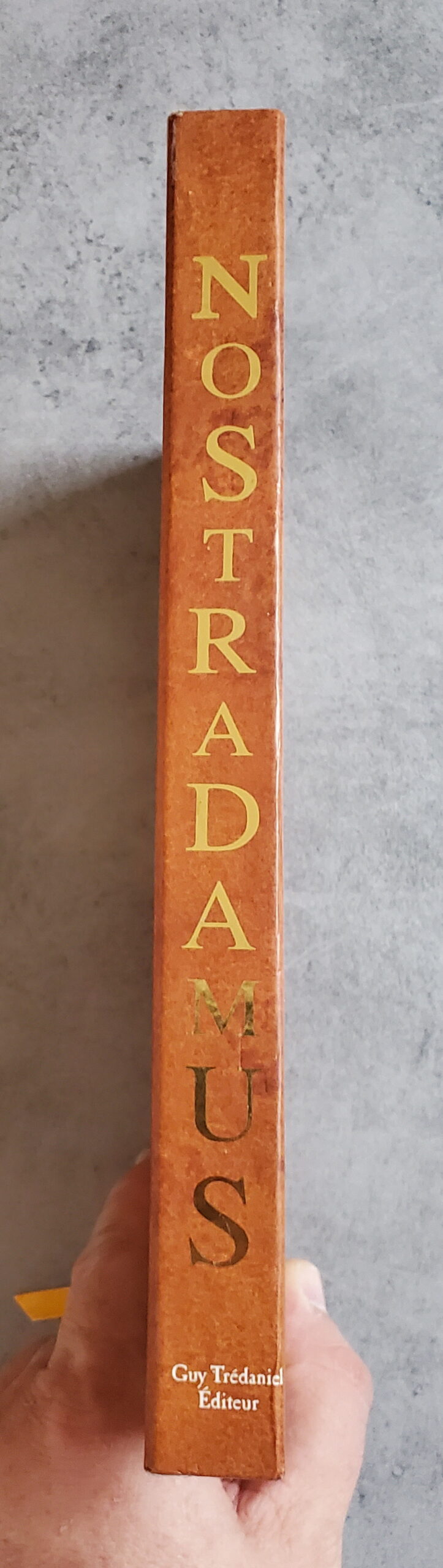 Nostradamus les 100 prophéties les plus importantes – Image 3