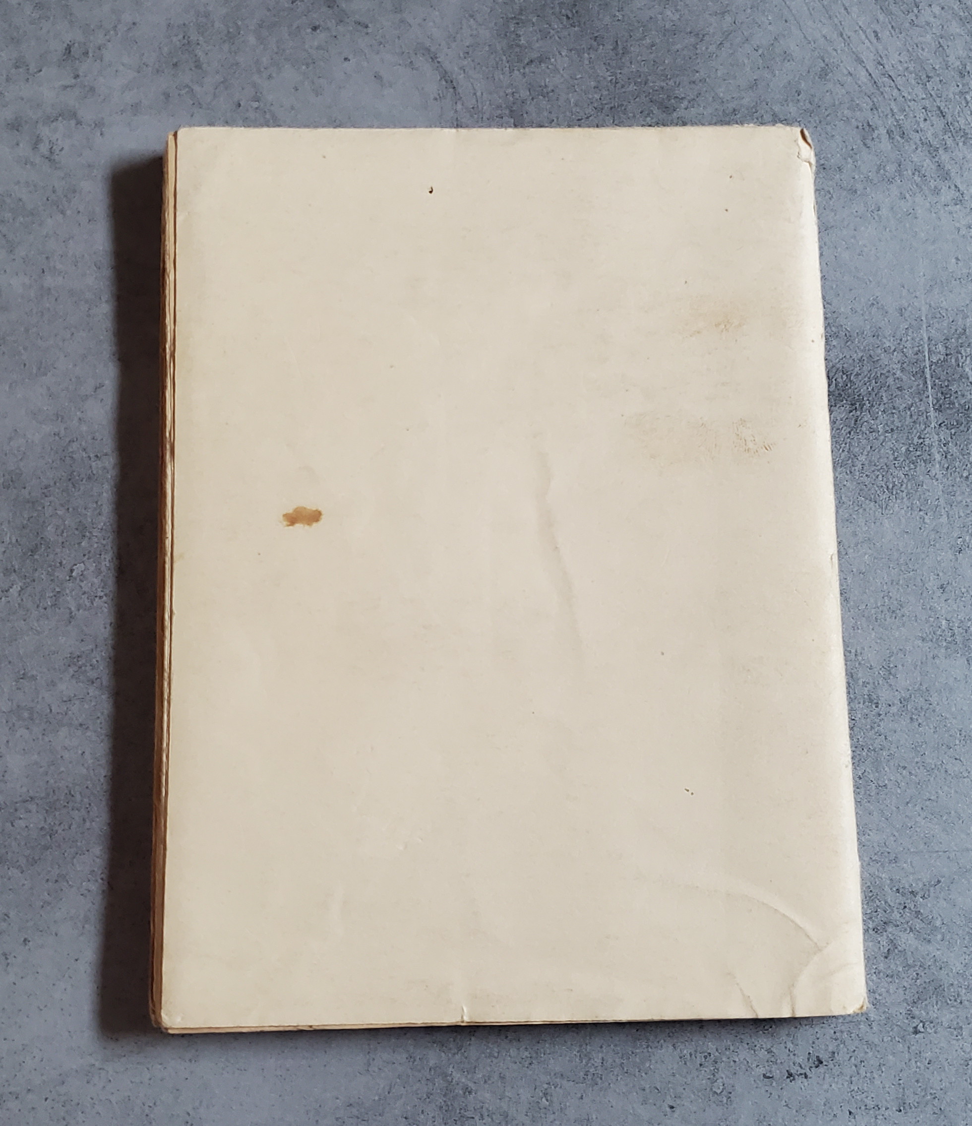 Un siècle sous les Cloîtres du Ronceray – Image 2