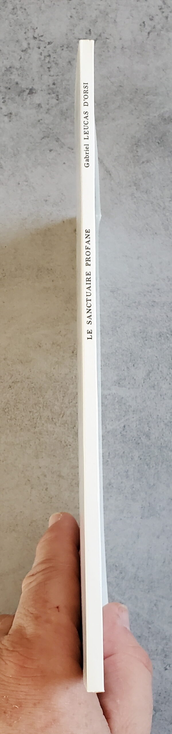 Le Sanctuaire profané – Image 3