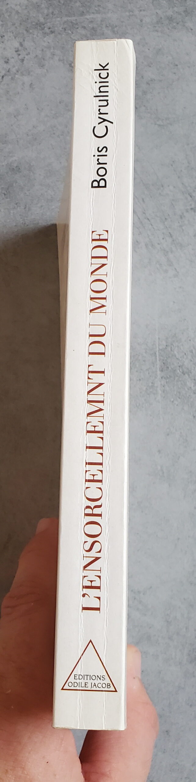 L'ensorcellement du Monde – Image 3