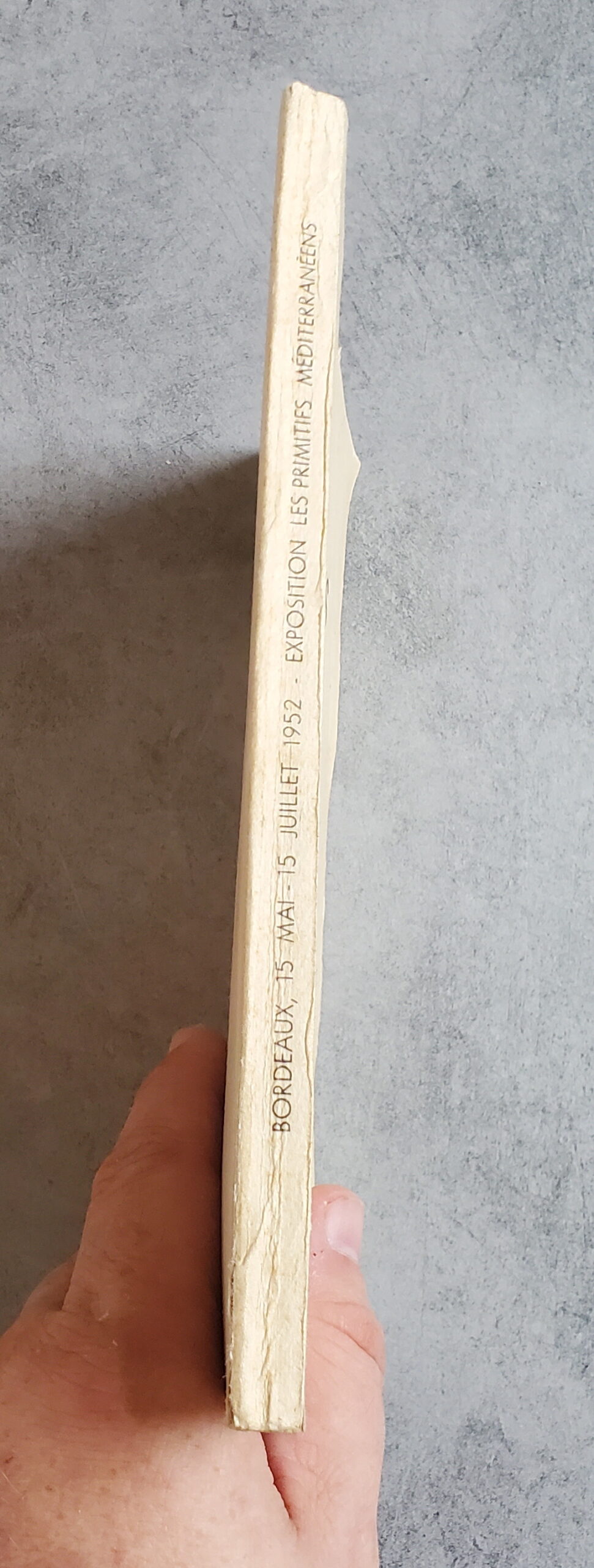 Les primitifs méditerranéens – Image 3