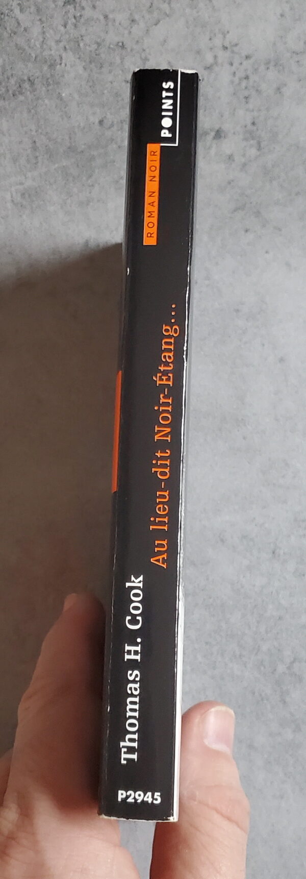 Au lieu-dit Noir-étang – Image 3