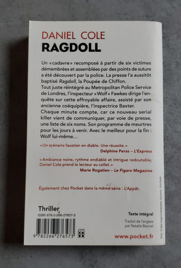 Ragdoll – Image 2