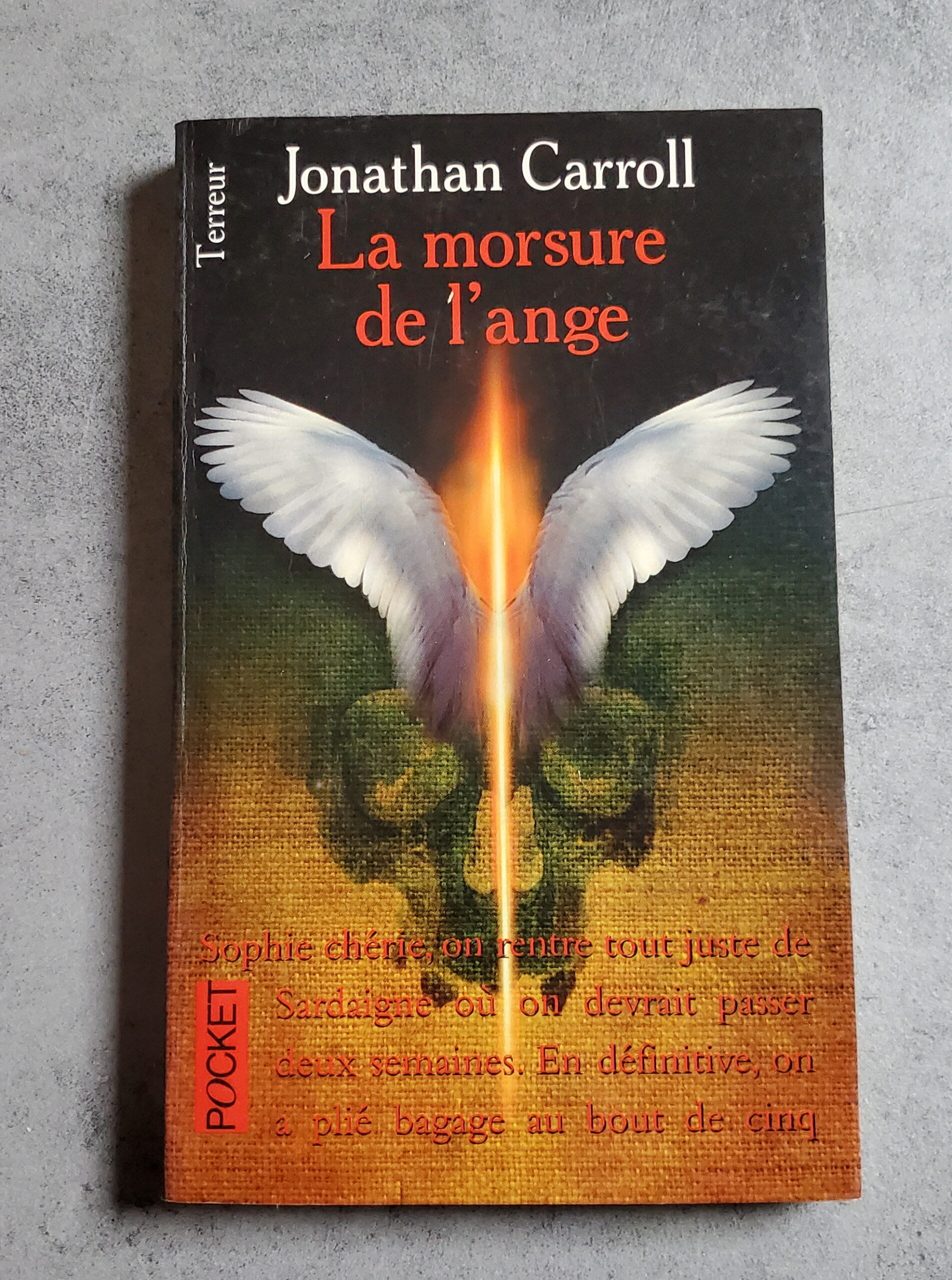 La morsure de l'ange