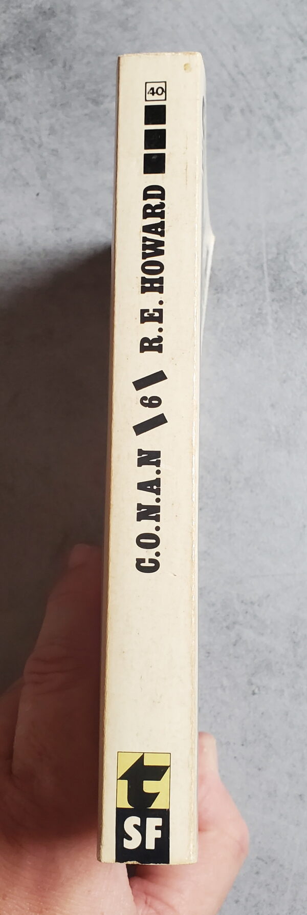 Conan le Guerrier – Image 3