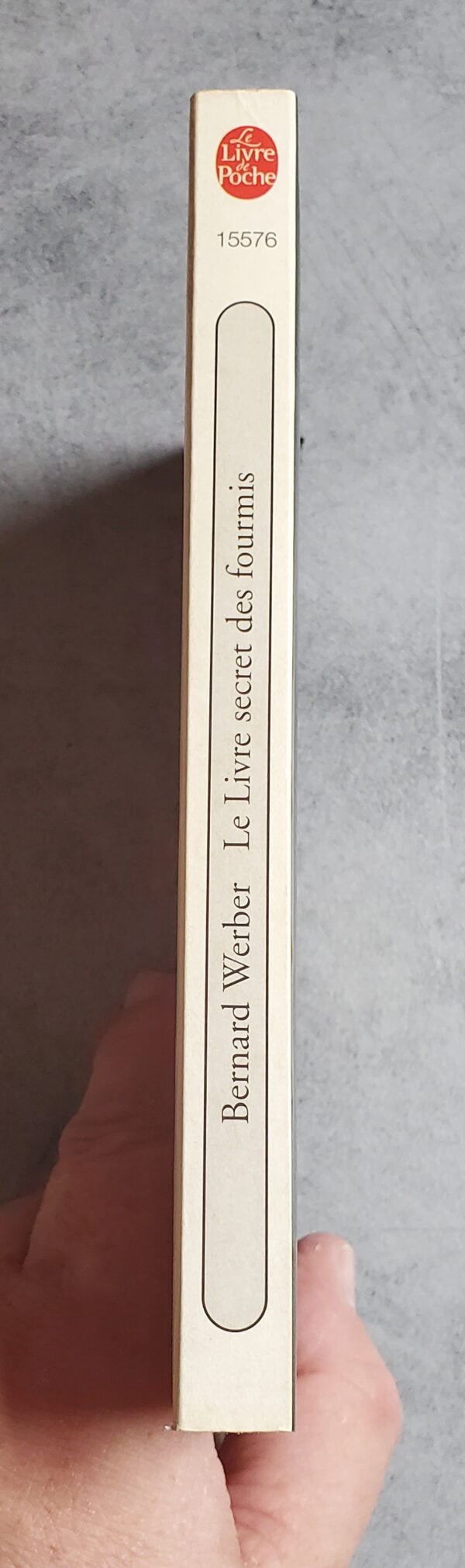 Le livre secret des fourmis – Image 3