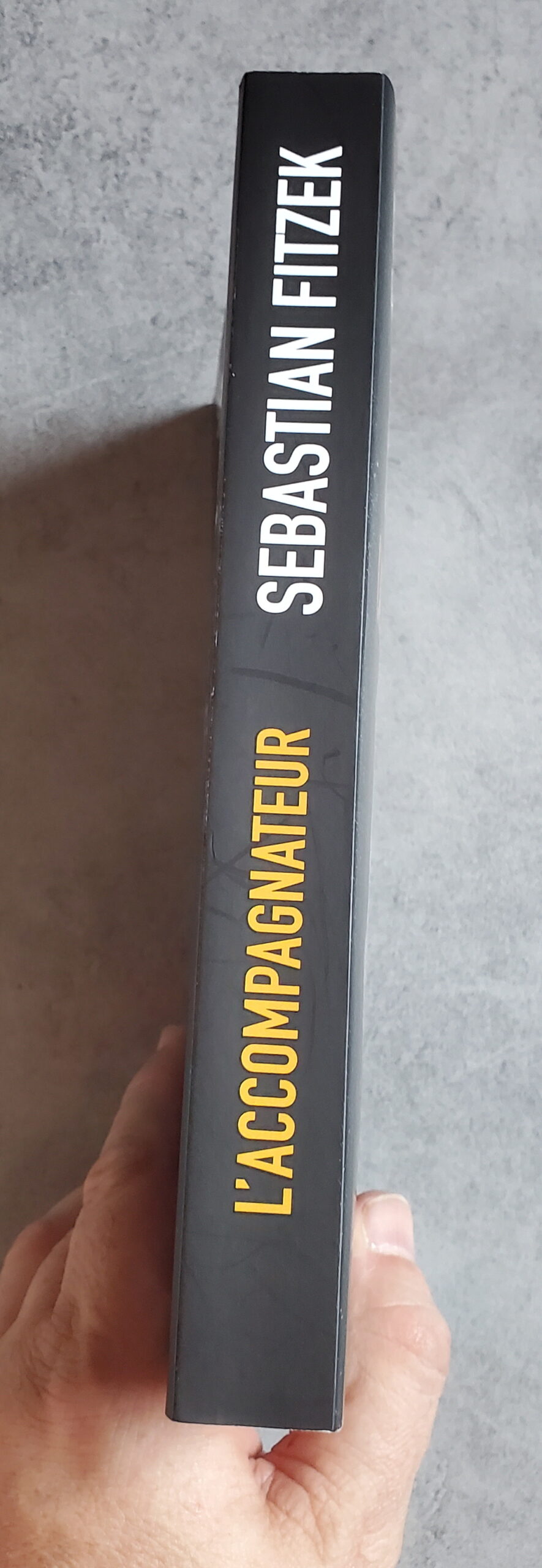 L'accompagnateur – Image 3