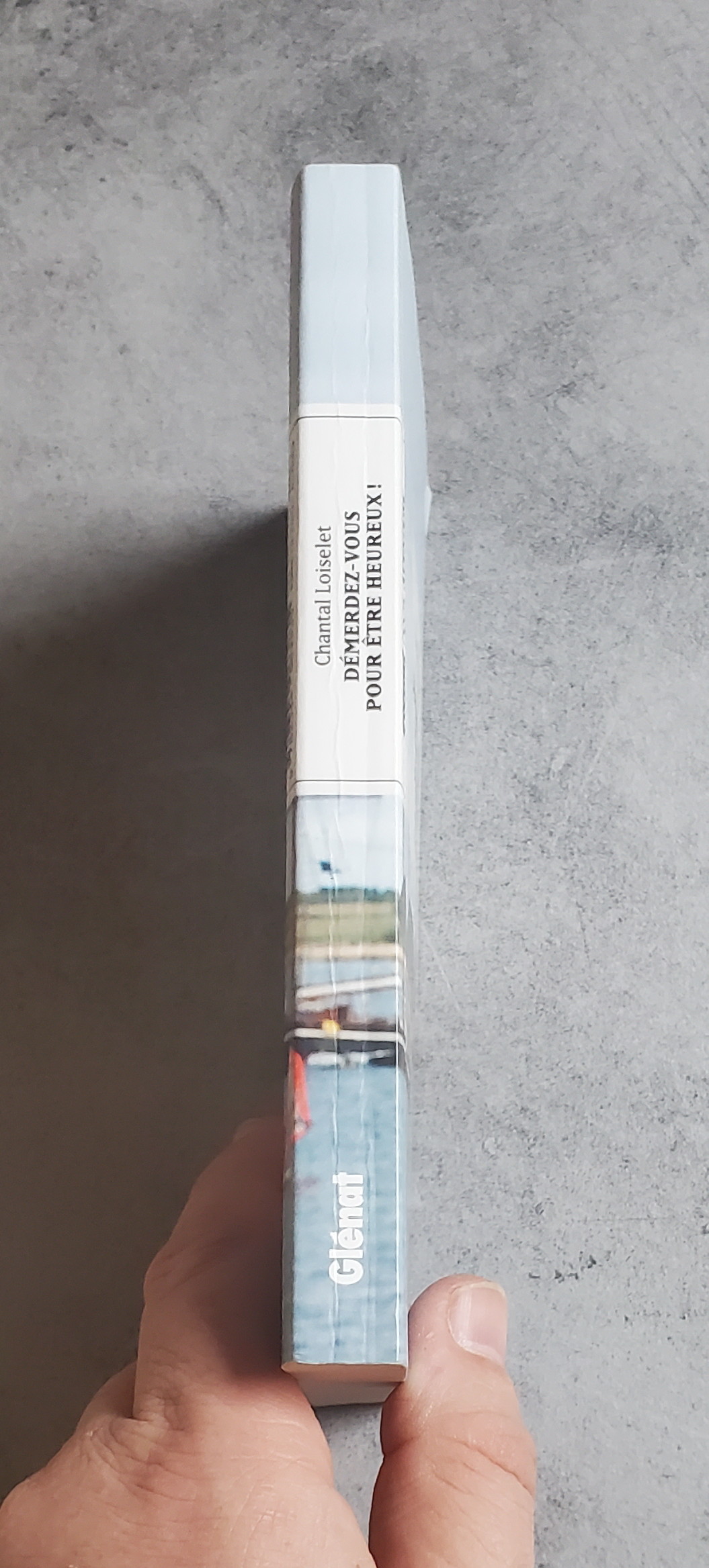 Démerdez-vous pour être heureux ! – Image 3