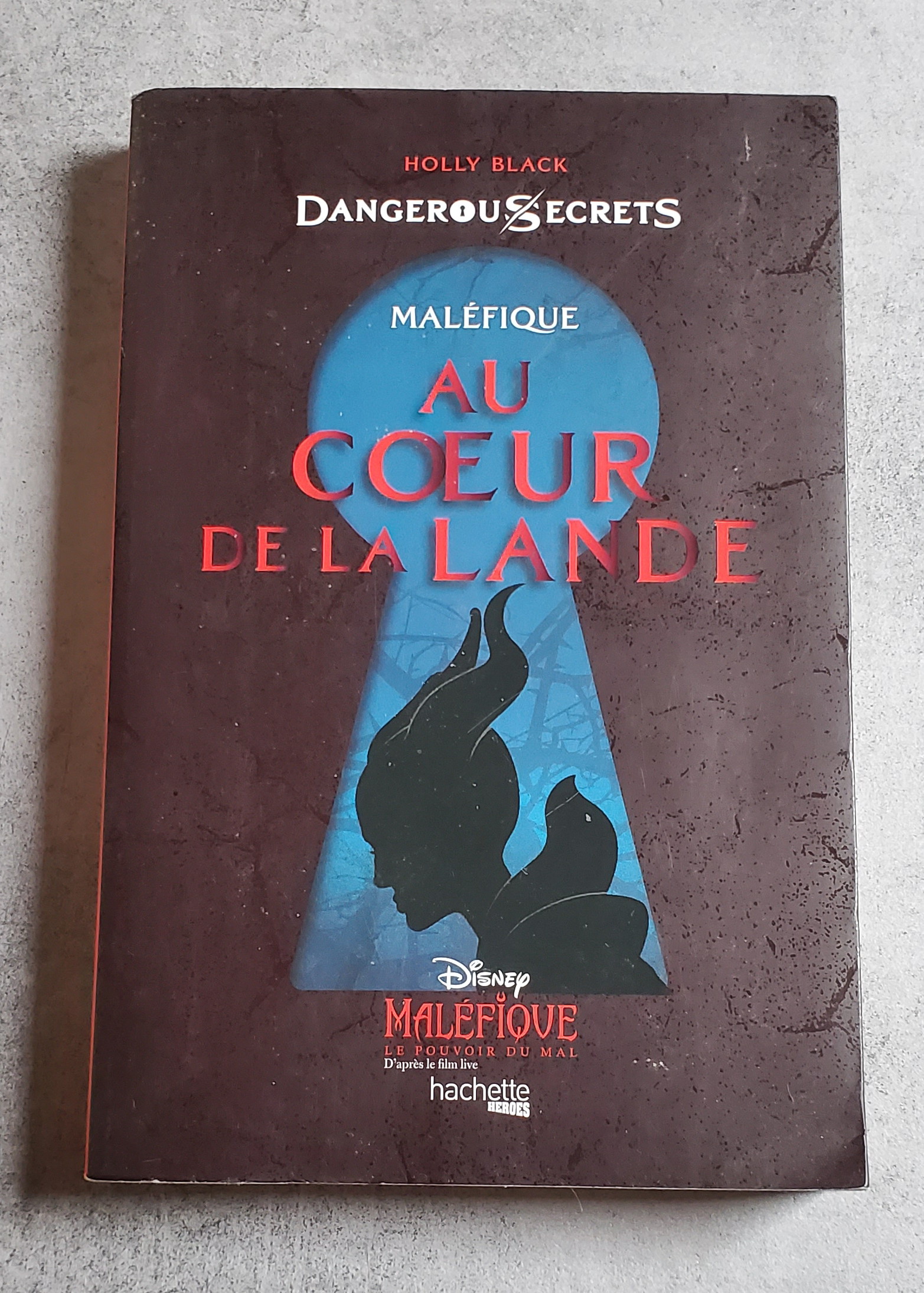 Au coeur de la Lande