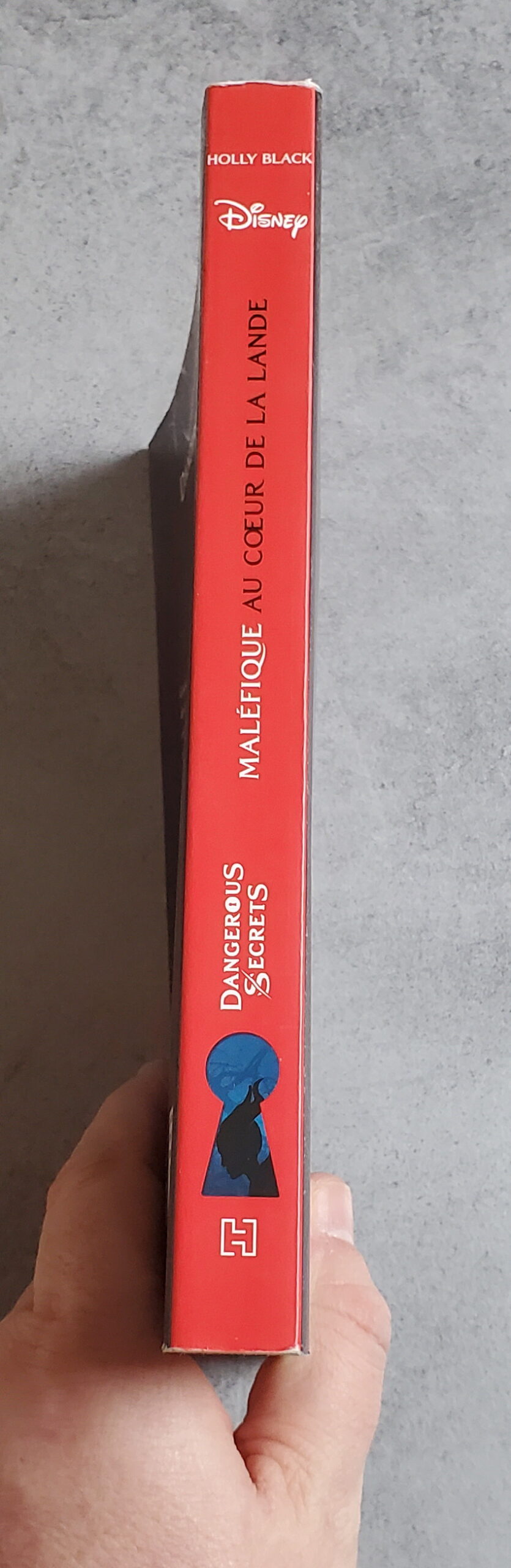 Au coeur de la Lande – Image 3